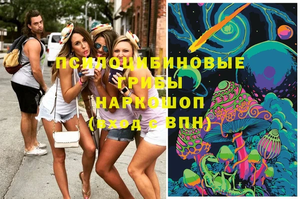 стаф Верхний Тагил
