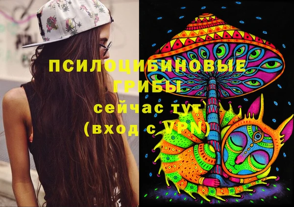 молекула духа Волоколамск