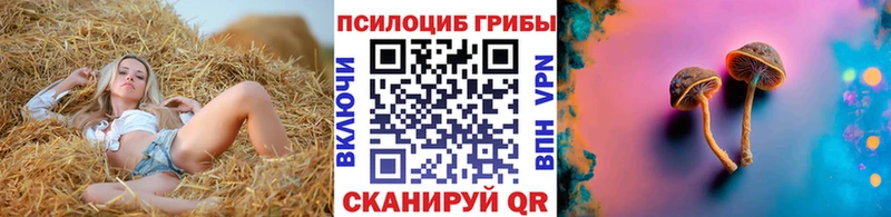Галлюциногенные грибы Psilocybe  Волгодонск 