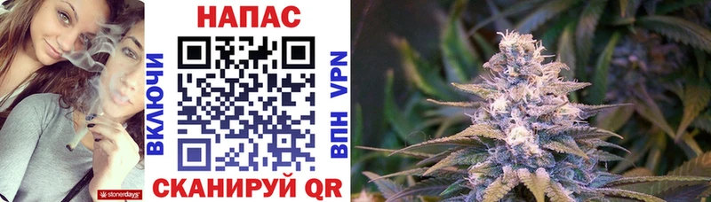 Бошки Шишки гибрид  купить закладку  blacksprut онион  Волгодонск 